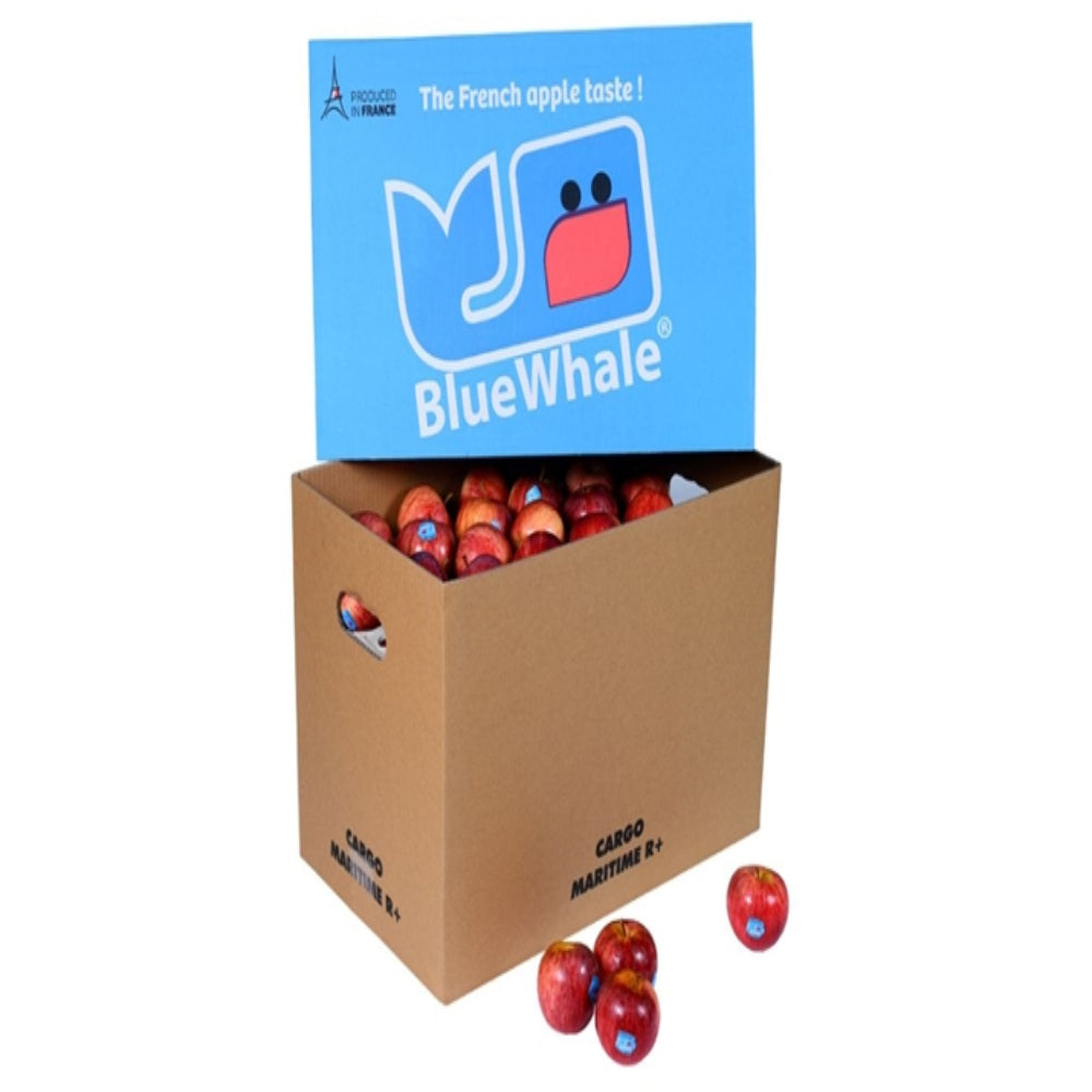 Apple Red France 18 Kg Box