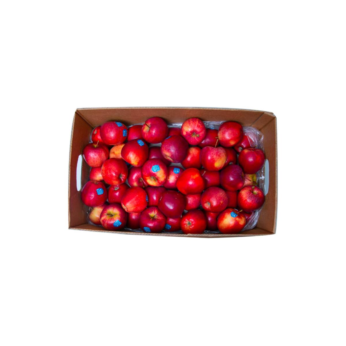 Apple Royal Gala France 18 Kg Box