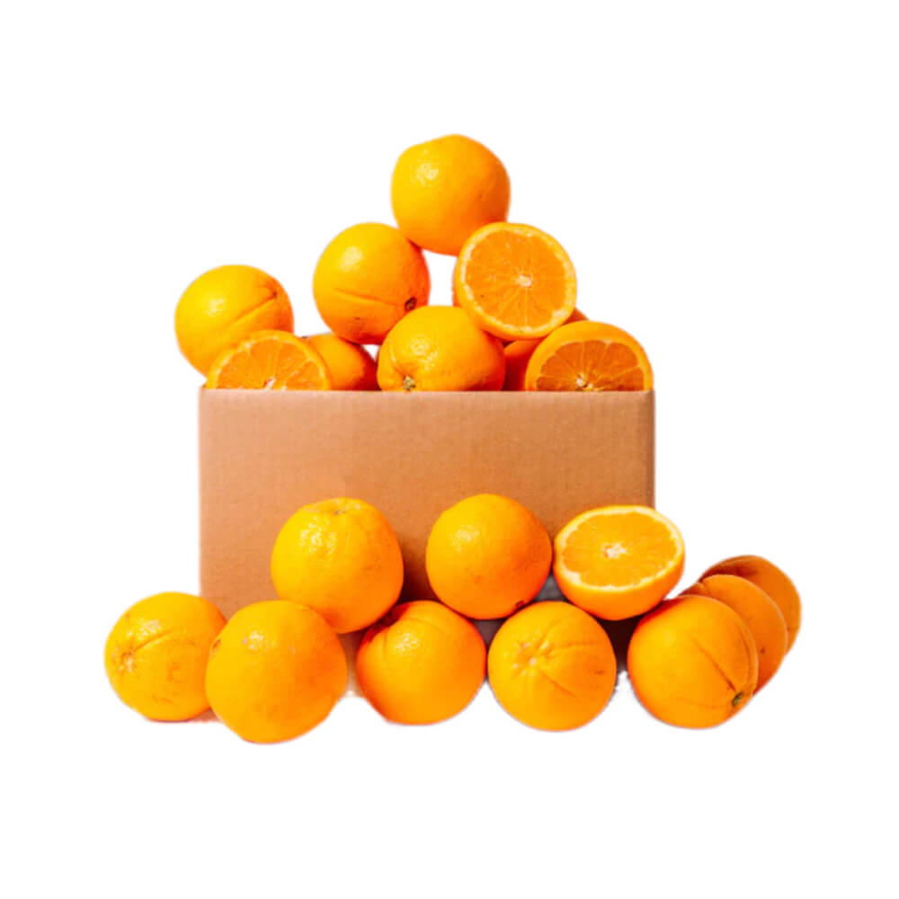 Orange Navel South Africa 14 Kg Box