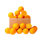 Orange Navel South Africa 14 Kg Box