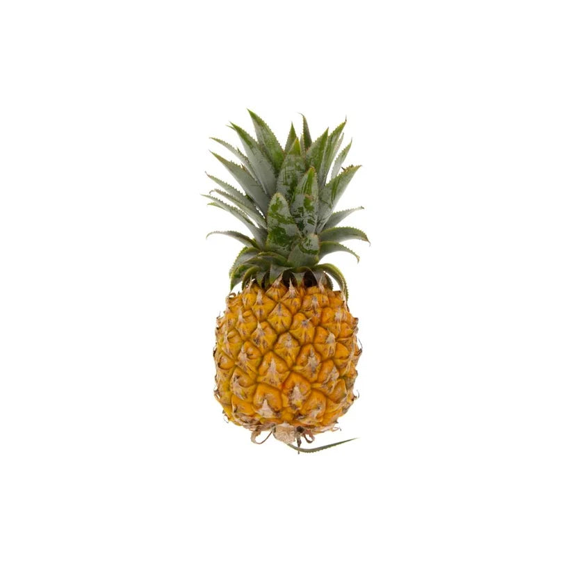 Baby Pineapple South Africa Approx-8 Pieces