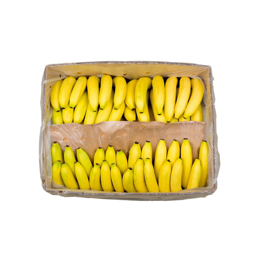Chiquita Banana Ecuador 13 Kg Box