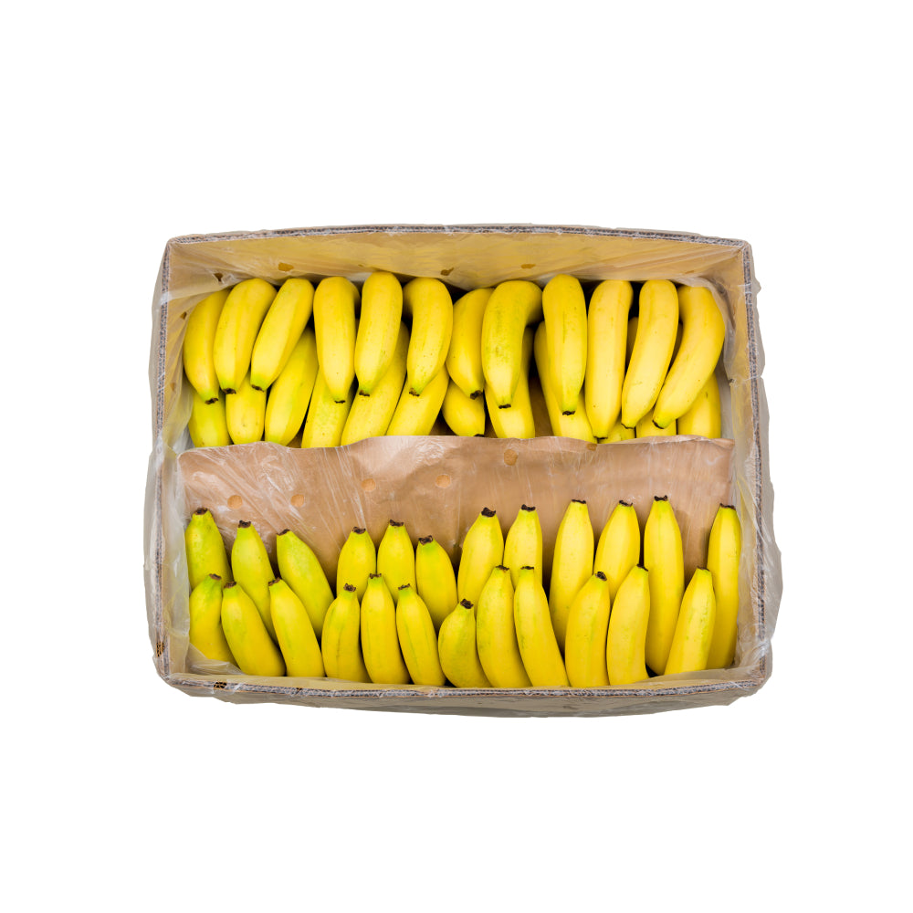 Chiquita Banana Organic Ecuador 18 Kg Box