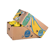 Chiquita Banana Organic Ecuador 18 Kg Box