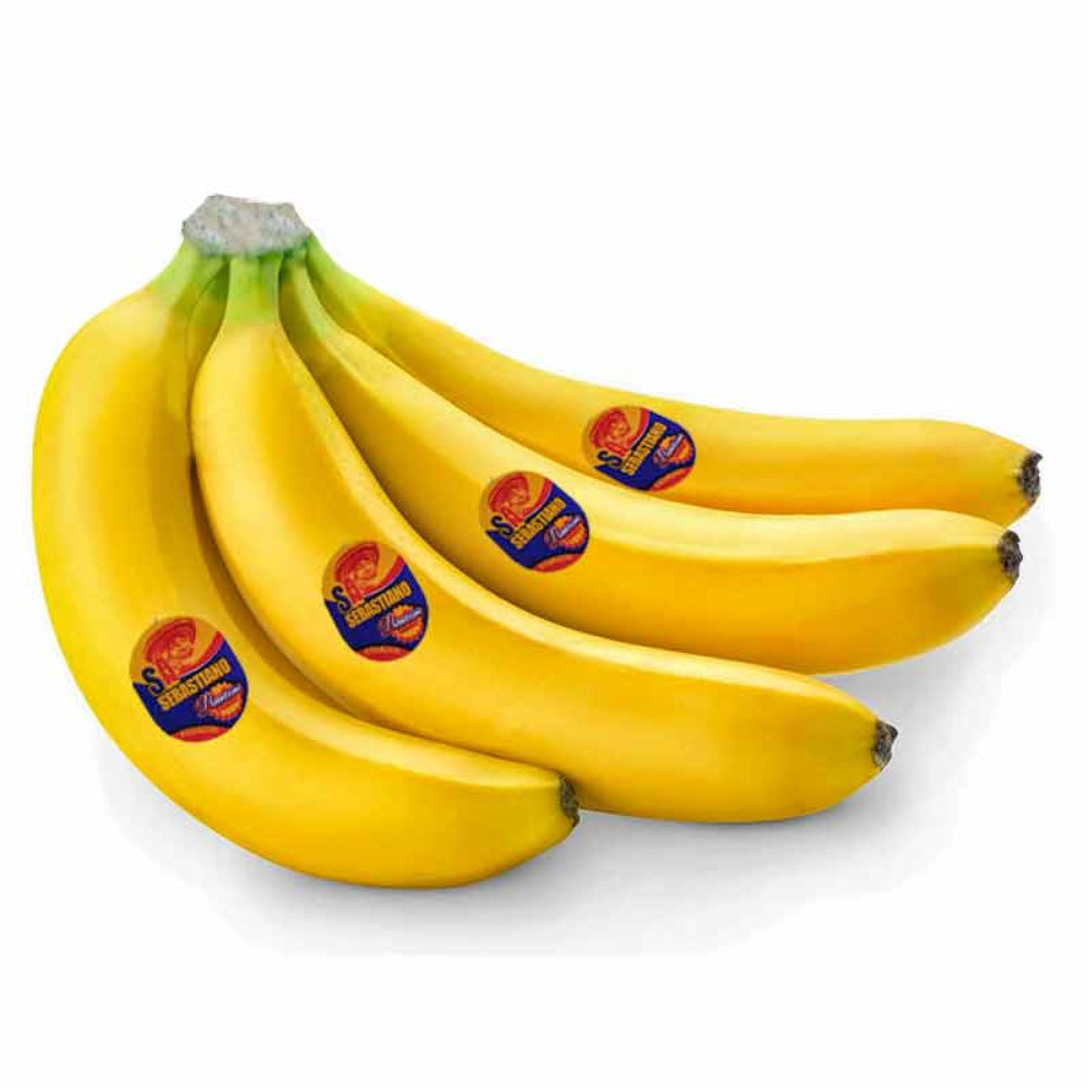 Sebastiano Banana Ecuador 13 Kg Box