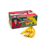 Sebastiano Banana Ecuador 13.5 Kg Box
