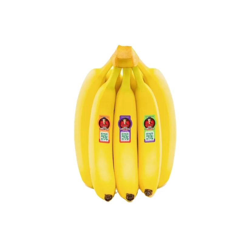 Sebastiano Banana Ecuador 13.5 Kg Box