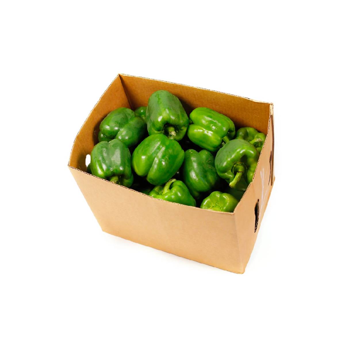 Capsicum Green Uae 5 Kg Box
