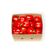 Capsicum Red Uae 4 kg Box