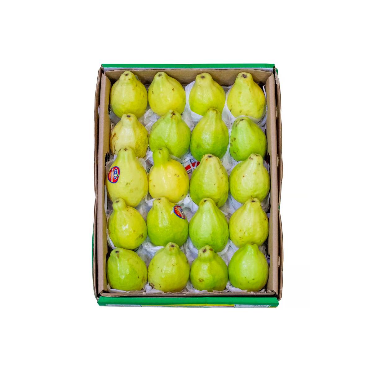 Guava Egypt 1.8 Kg Box