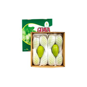 Guava Red Flesh Vietnam 1600g Box