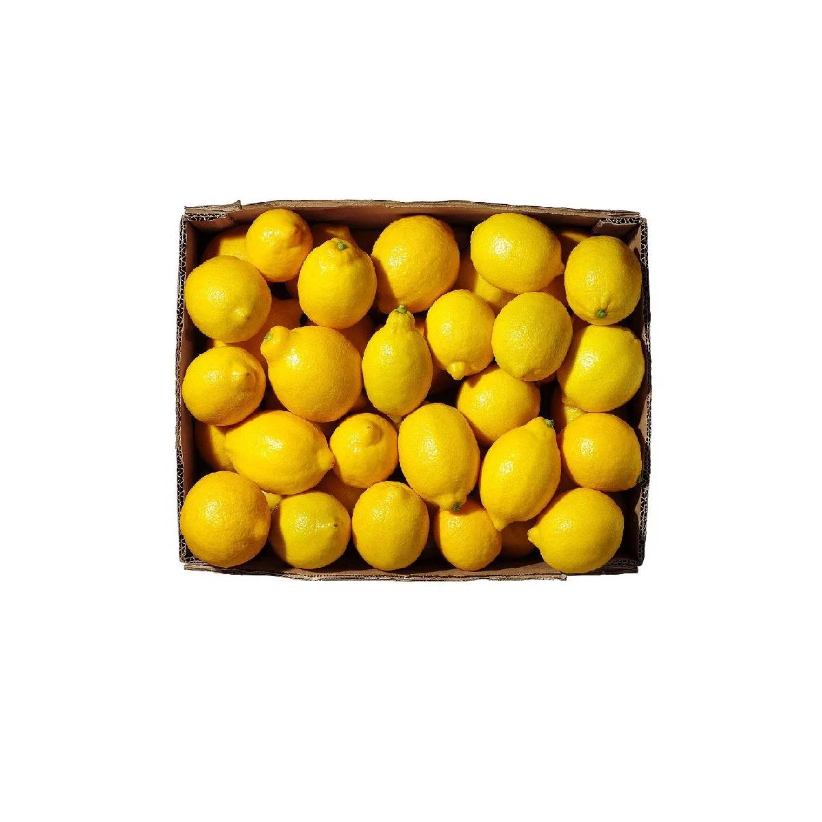 Lemon South Africa 15 Kg Box
