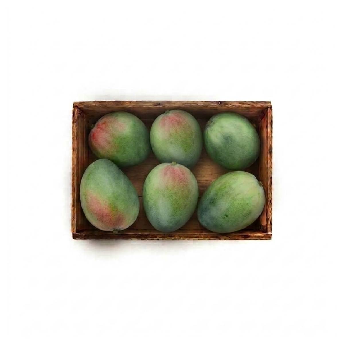 Mango Keitt Egypt 3 Kg Box