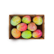 Mango Kent Kenya 3.5 Kg Box