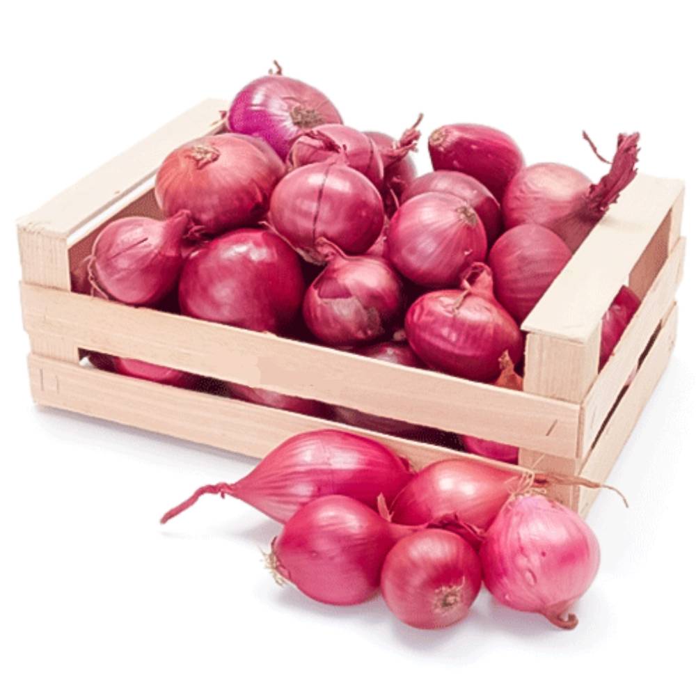 Onion Turkey 20 Kg Box