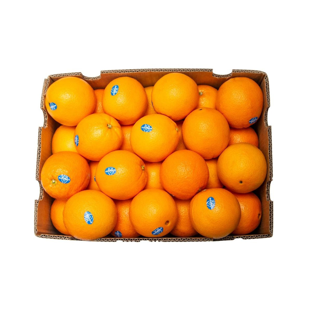 Orange Valencia South Africa 15 Kg Box