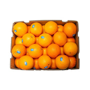 Orange Valencia South Africa 15 Kg Box
