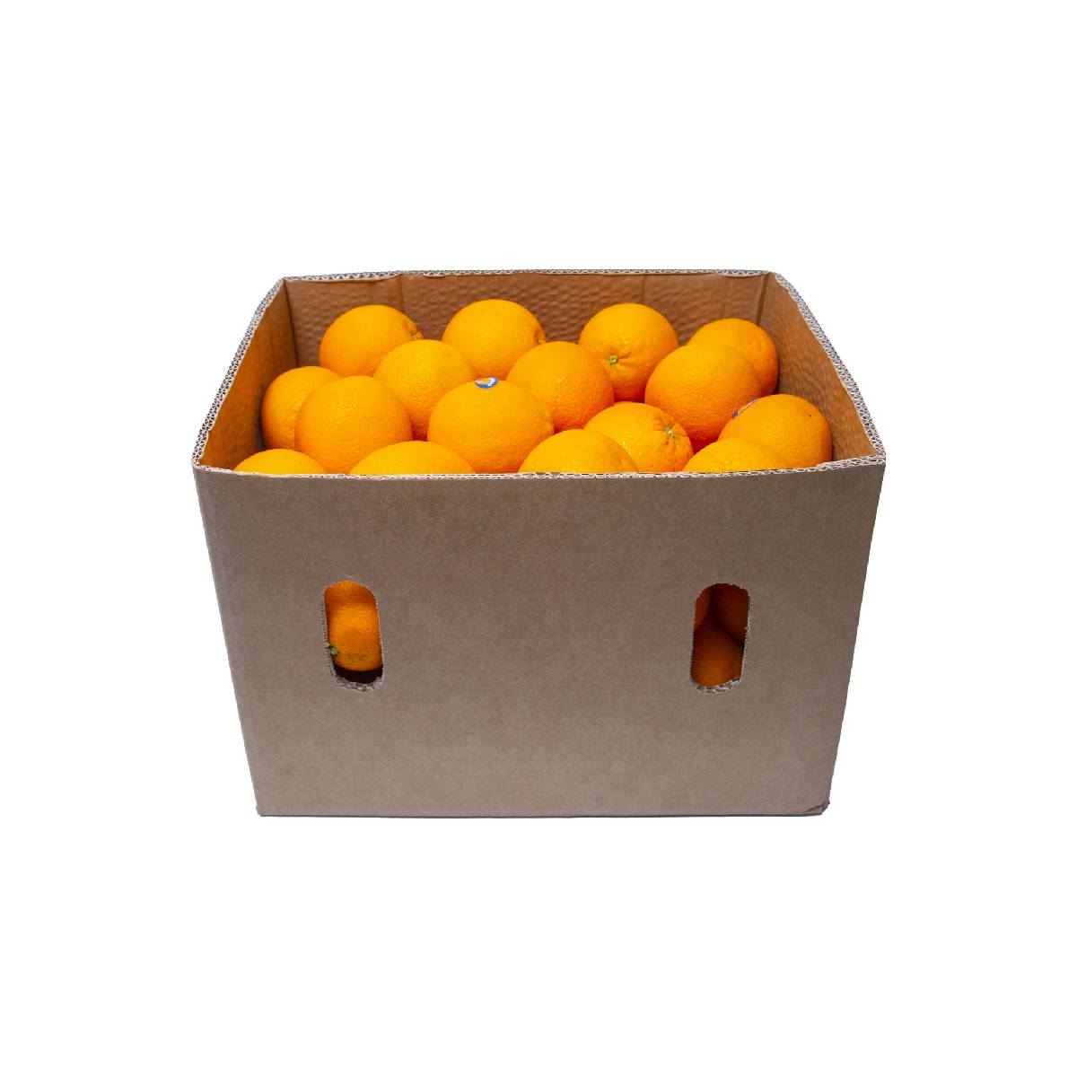 Orange Valencia South Africa 15 Kg Box