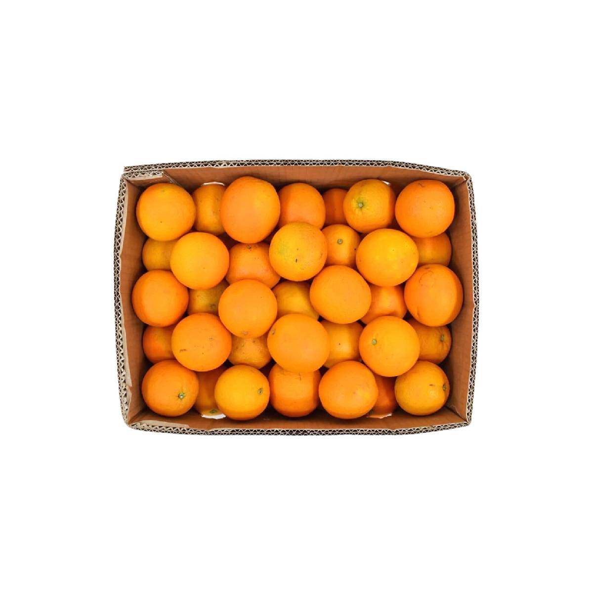Orange Valencia South Africa 15 Kg Box
