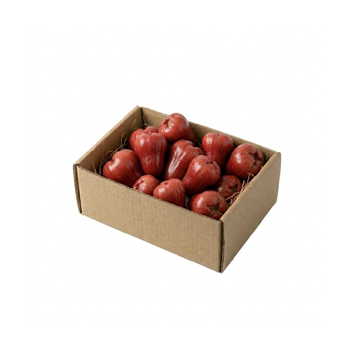 Rose Apple Red Vietnam 1.6 Kg Box