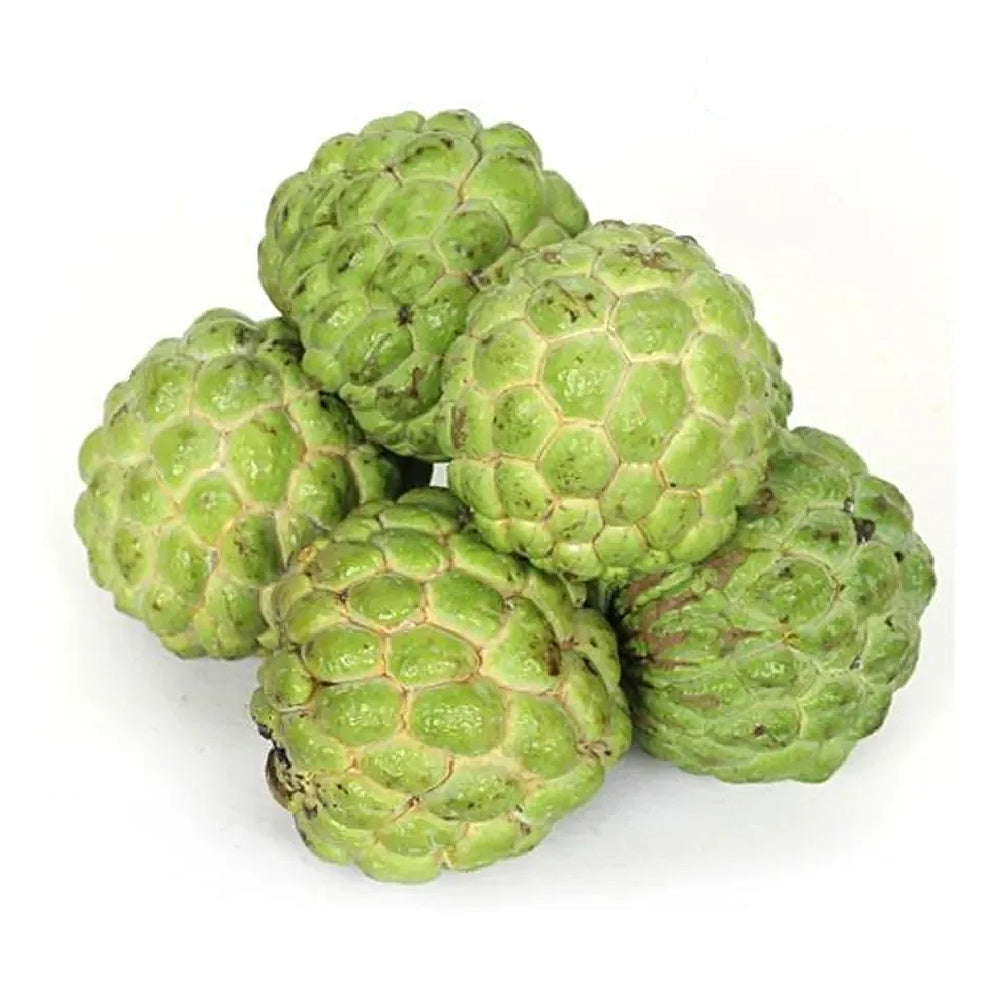 Custard Apple Brazil 5 Kg Box