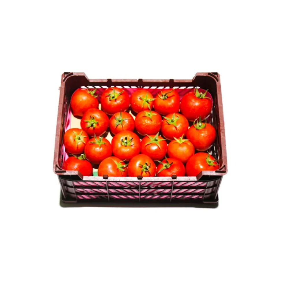 Tomato Selected UAE Box (5.5kg)