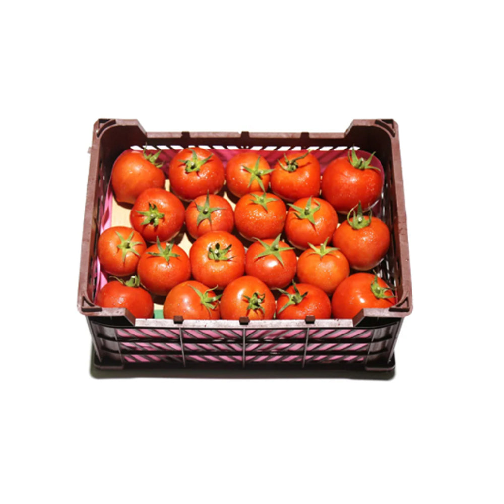 Tomato Jordan 7 kg Box