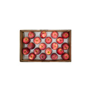 Apple Red GCC 10Kg Box