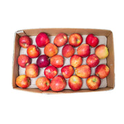 Apple Red Iran 5 Kg Box