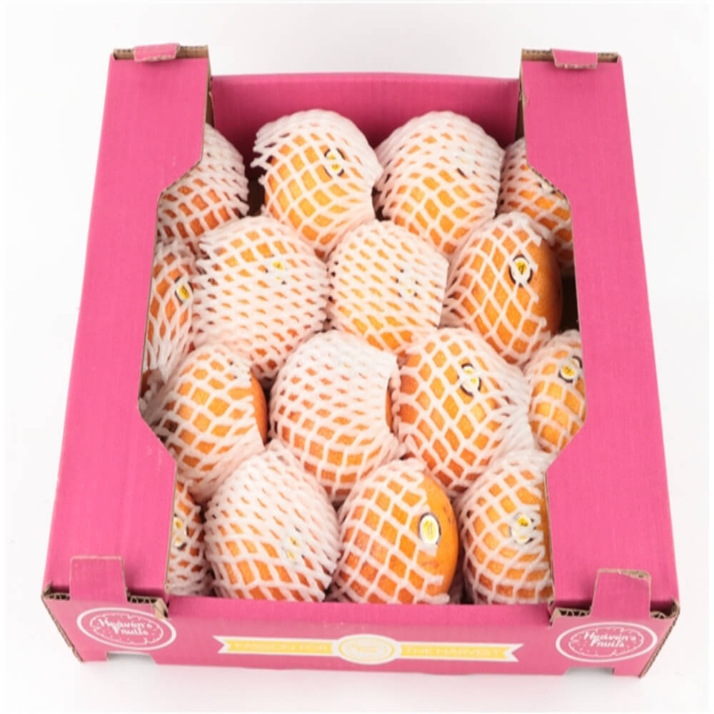 Granadilla Colombia 16 Pieces Box