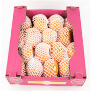 Granadilla Colombia 16 Pieces Box