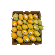 Mango Fass Egypt 1.5 Kg Box