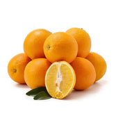 Orange Navel Turkey 9-10 Kg Box