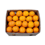 Orange Navel Turkey 15 Kg Box