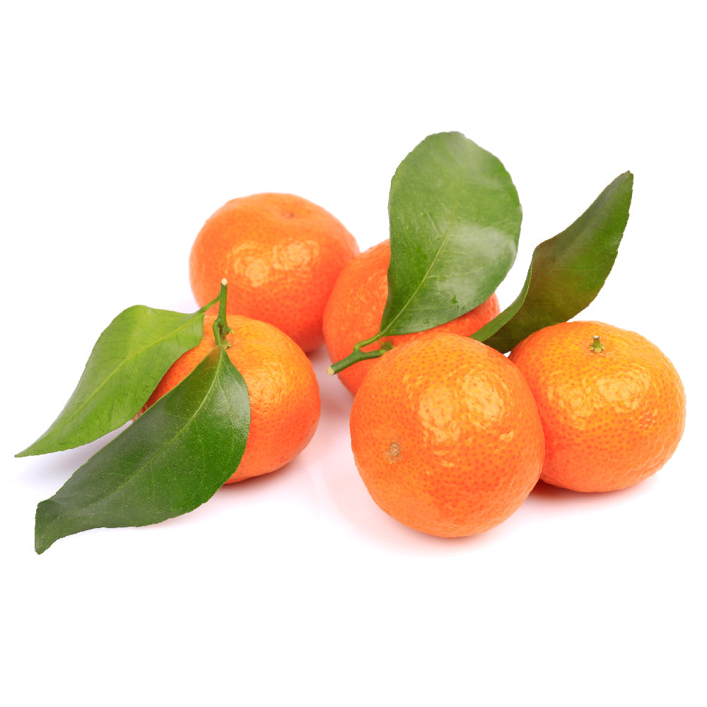Clementine With Leaves Morocco 7.5 Kg Box