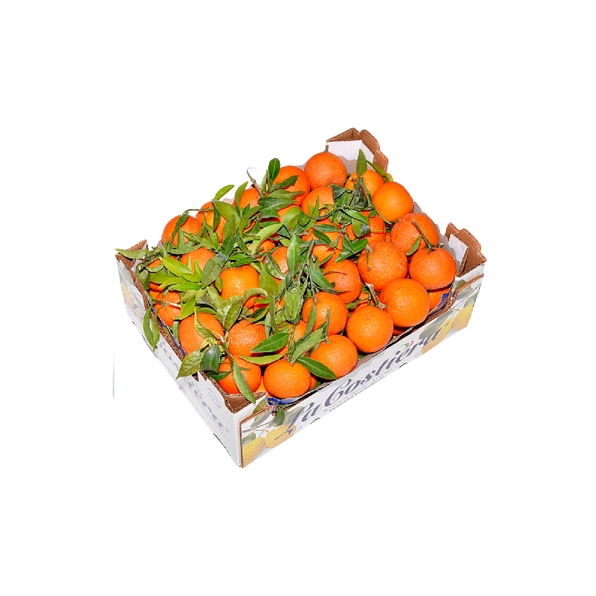 Mandarine With Leaves Turkey 7 Kg Box