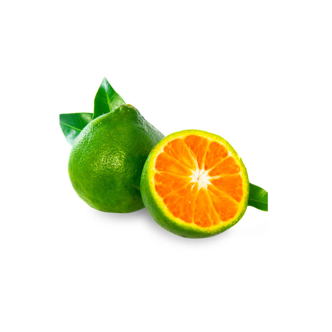 Mandarine Iran 1 Kg Box