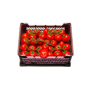Tomato Bunch Selected 7Kg BOX