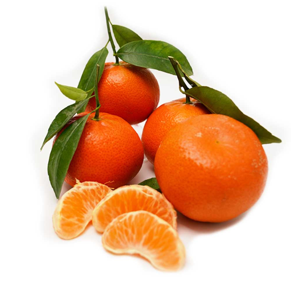 Mandarine Pakistan 9-10 Kg Box