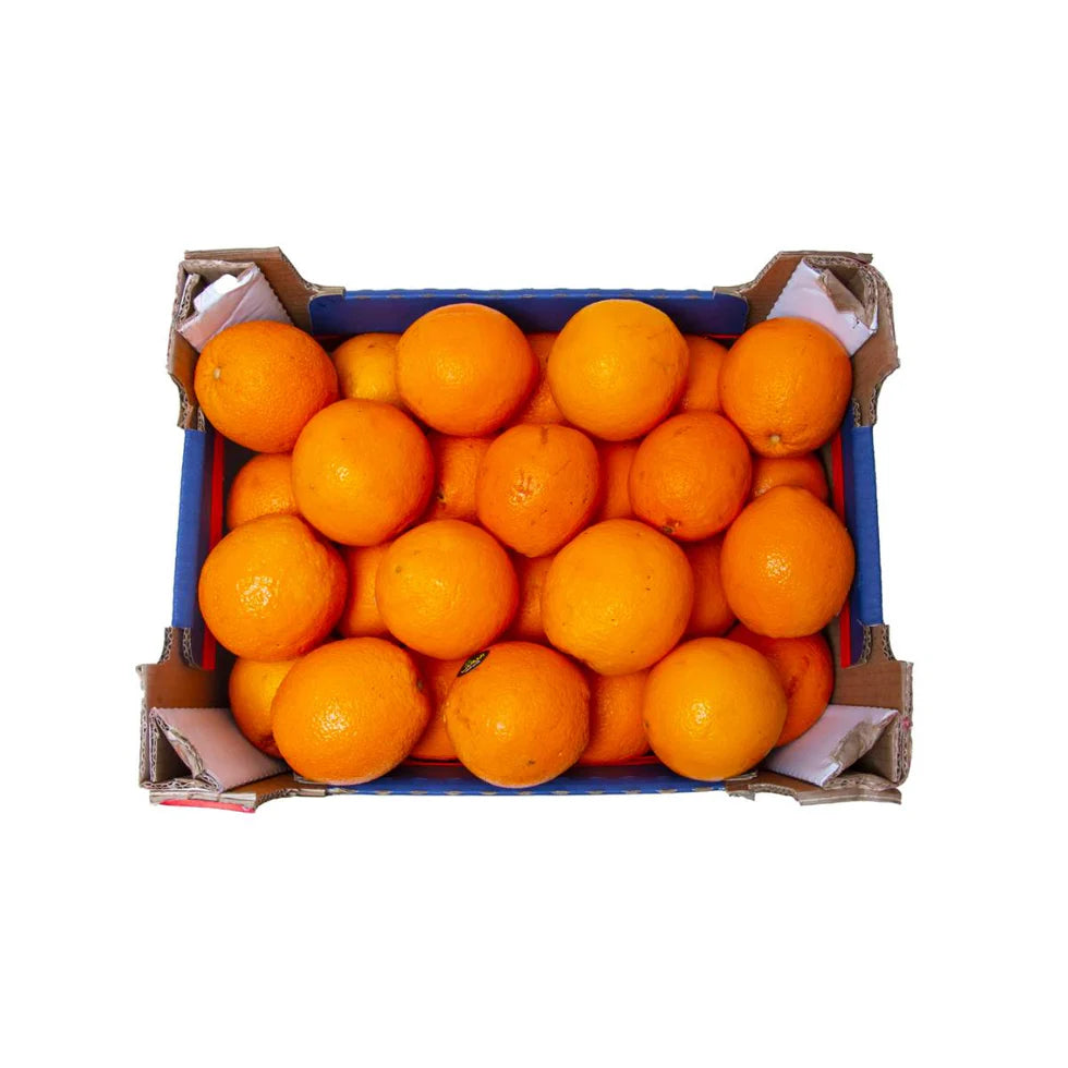 Orange Navel Egypt 15 Kg Box