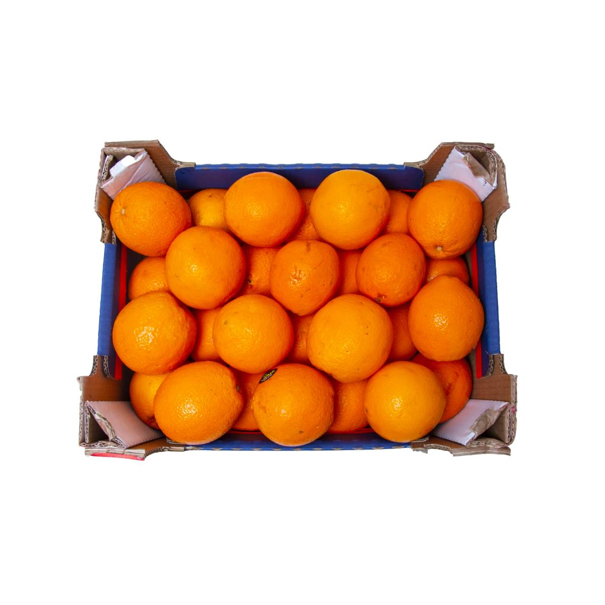Orange Navel Egypt 7 Kg Box