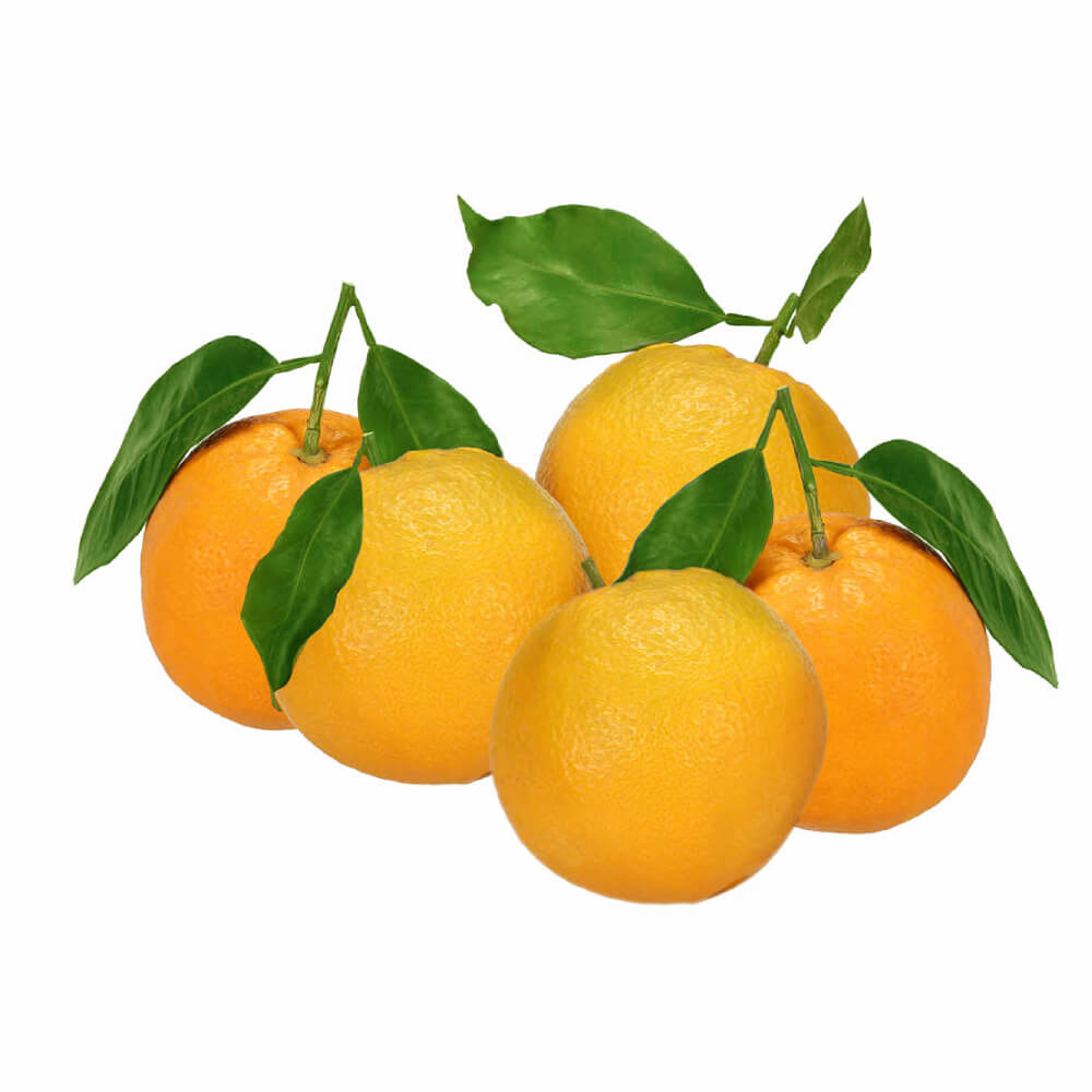 Orange Navel With Leaves Morocco 9 Kg Box