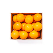 Orange Valencia Egypt 7 Kg Box