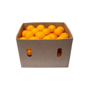 Orange Valencia Egypt 15 Kg Box