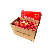 Apple Candine France 18 Kg Box