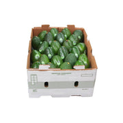 Avocado Hass Normal Mexico 10 Kg Box