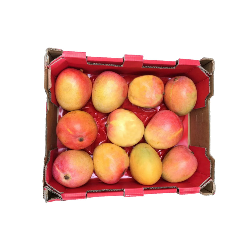 Mango R2E2 Egypt 4 Kg Box