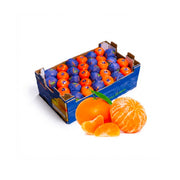 Mandarin Nova South Africa 10 Kg Box
