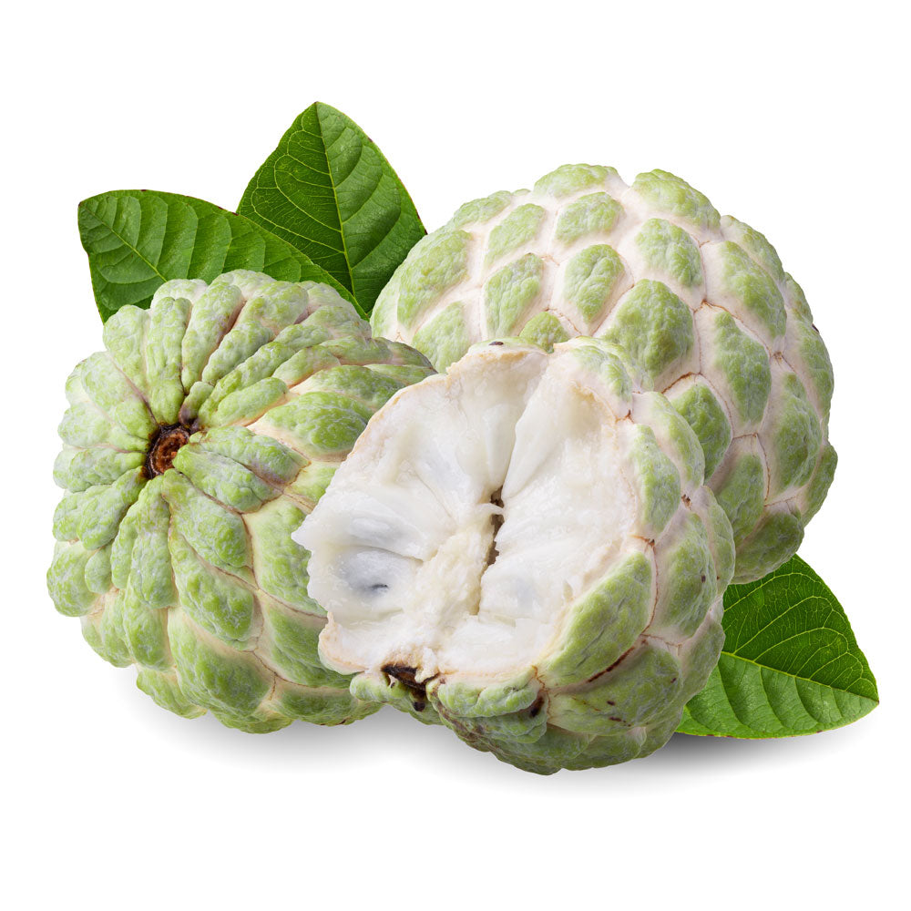Custard Apple Australia 5 Kg Box