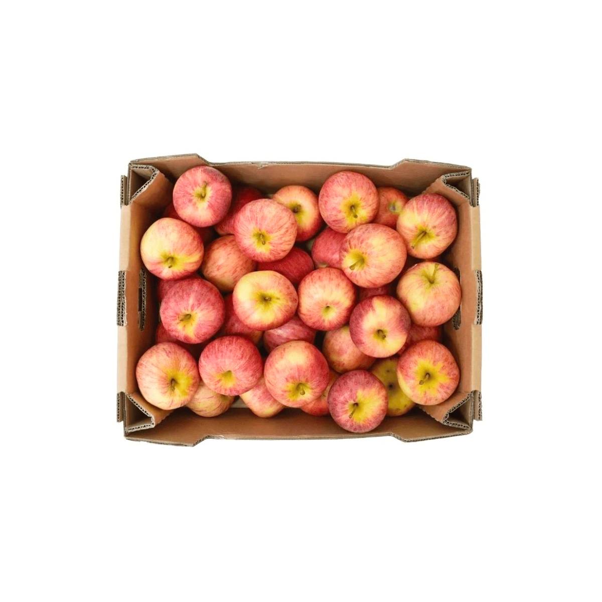 Apple Royal Gala South Africa 18 Kg Box